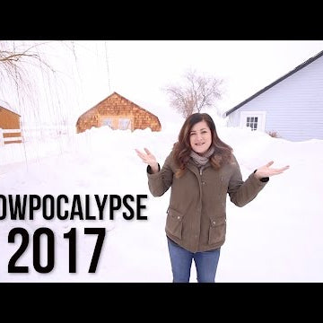 SNOWPOCALYPSE 2017