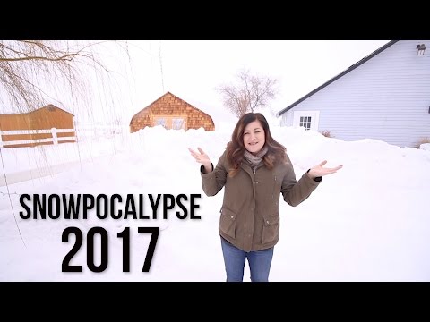 SNOWPOCALYPSE 2017