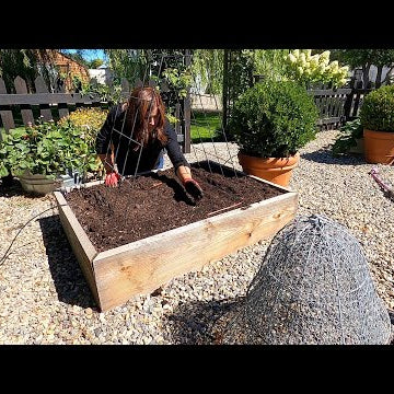 5 Super Fast Crops to Grow for Fall Harvest!