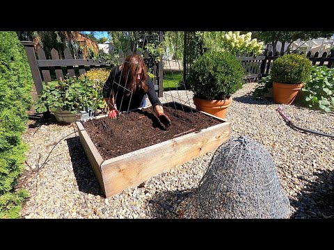 5 Super Fast Crops to Grow for Fall Harvest!