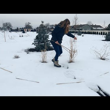 Planting Poppies In the Snow!