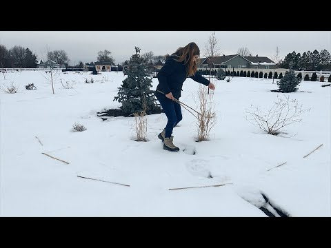 Planting Poppies In the Snow!