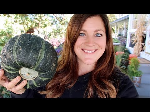Greenhouse Winterizing / Garden Harvest / Flower Arrangement