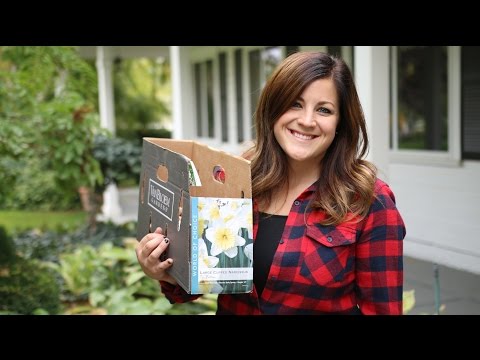 Tips for Planting Bulbs