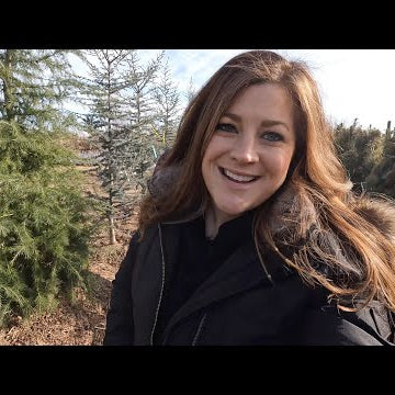 Shopping for Trees on Our Date Day!