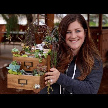 Mini Drawer Garden!