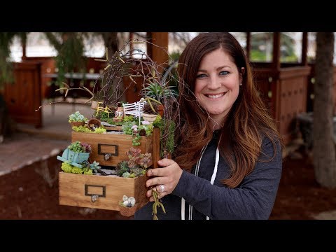 Mini Drawer Garden!