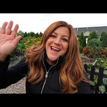 Project Updates, Amazing Sweet Potato/Ornamental Corn Harvest & Tree Pruning!