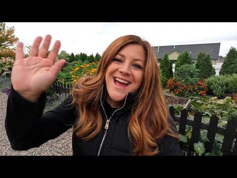 Project Updates, Amazing Sweet Potato/Ornamental Corn Harvest & Tree Pruning!