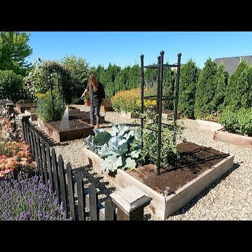 Planting Fall Crops (+ A Few More Warm Season Crops)!