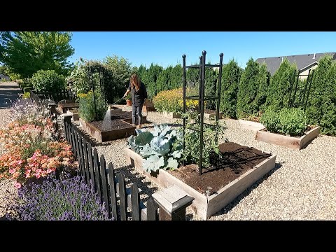 Planting Fall Crops (+ A Few More Warm Season Crops)!