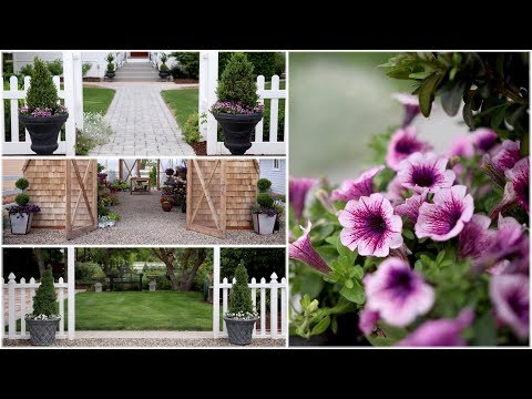 A Few Simple Planters for Full Sun!