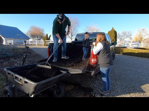Using Compost Instead of Mulch