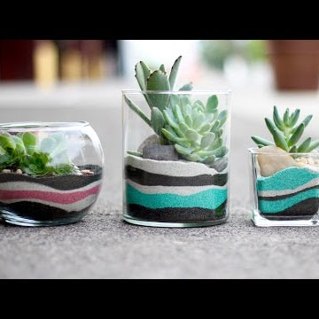 Layered Sand Succulent Planter