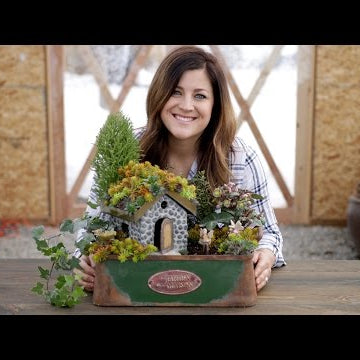 Succulent Rooftop Fairy Garden (Full Version)