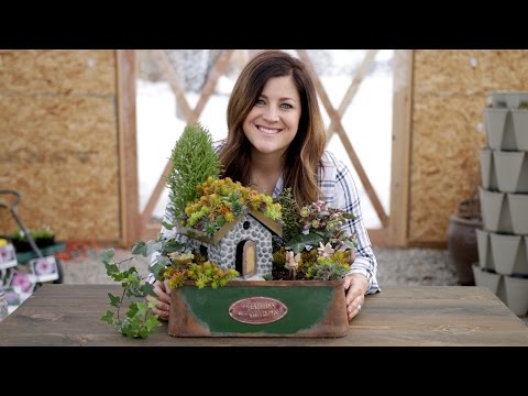 Succulent Rooftop Fairy Garden (Full Version)