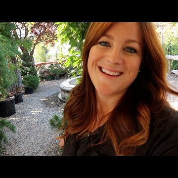 Visiting the Garden Center & Planting a Few New Things!