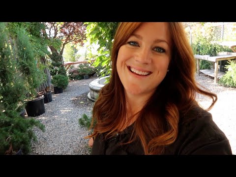 Visiting the Garden Center & Planting a Few New Things!