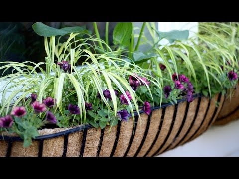 Sun/Shade Window Basket