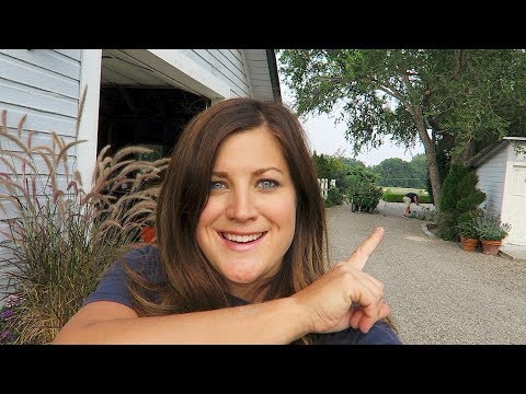 Landscape Fabric | Mulch | Penstemon