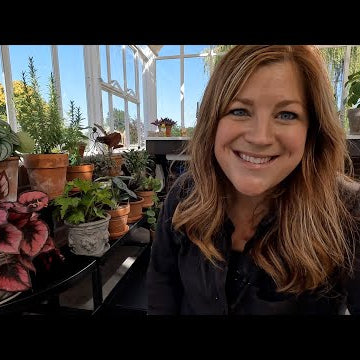 Big Houseplant Haul (Several Unusual Varieties)!