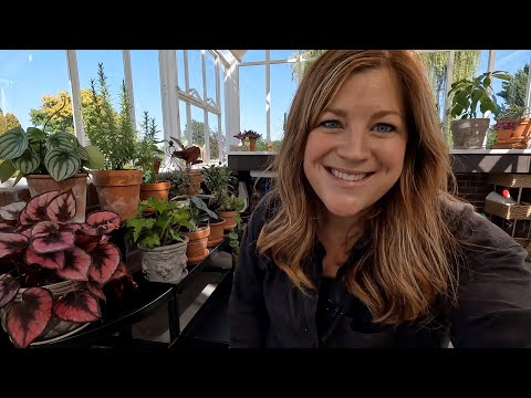 Big Houseplant Haul (Several Unusual Varieties)!
