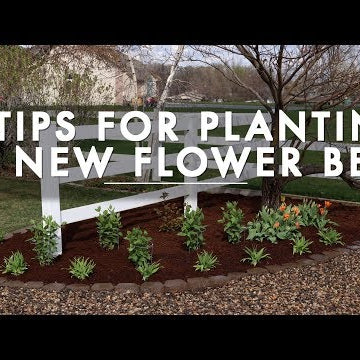 5 Tips for Planting a New Flower Bed