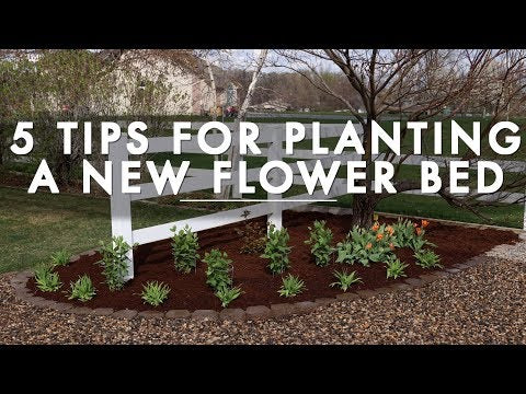 5 Tips for Planting a New Flower Bed