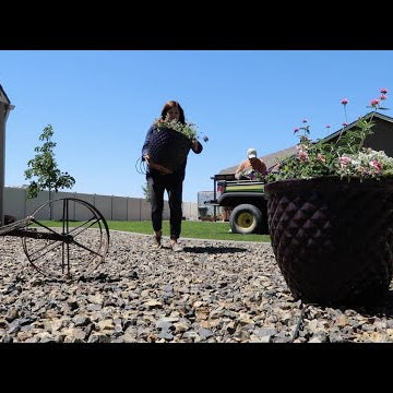 Planting Up & Delivering Containers to Our Neighbors!