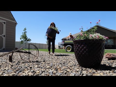 Planting Up & Delivering Containers to Our Neighbors!