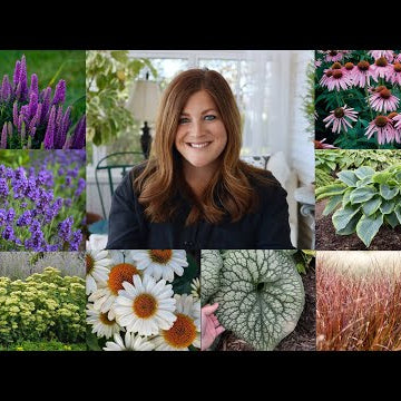 15 Perennials Every Garden Should Have!