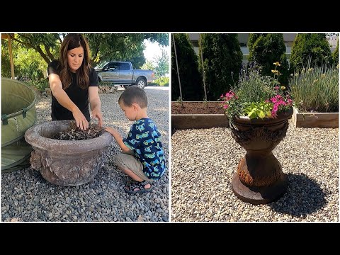 Refurbishing & Planting an Old Container for Our Vegetable Garden!