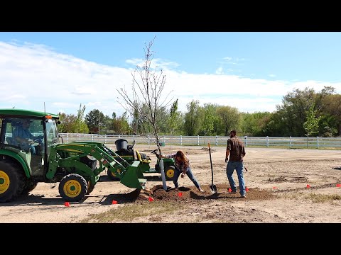 FINALLY Planting 21 Huge Trees on the New Property!
