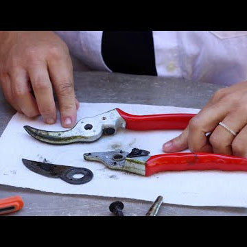 How to Clean & Sharpen Your Pruners!