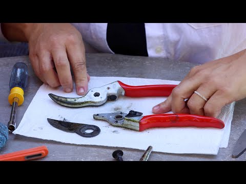 How to Clean & Sharpen Your Pruners!