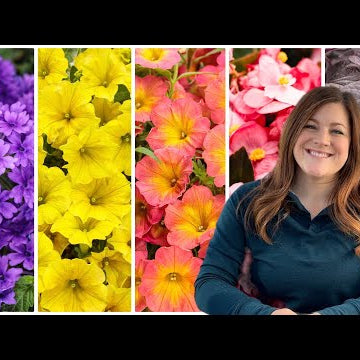 5 Must-Have Annuals for 2023!