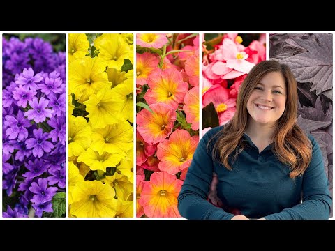 5 Must-Have Annuals for 2023!
