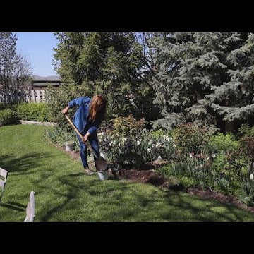 Planting a Few More Perennials in My Parent’s Garden!