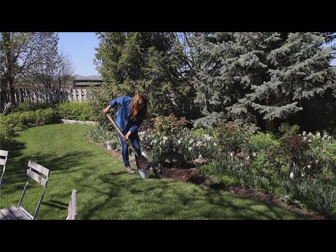 Planting a Few More Perennials in My Parent’s Garden!