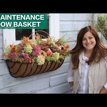 No Maintenance Window Basket