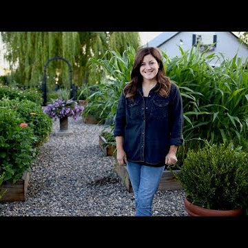 August Vegetable Garden Tour!