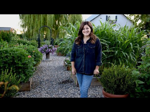 August Vegetable Garden Tour!