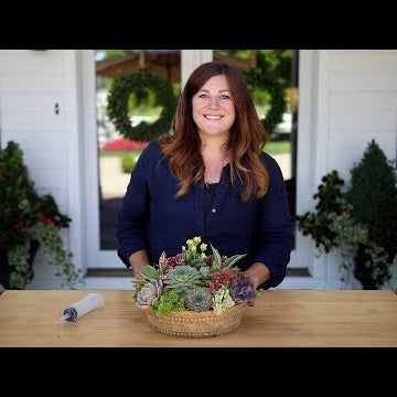 How to Create Height in a Succulent Arrangement!