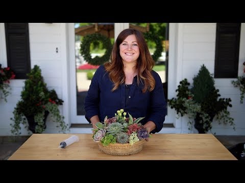 How to Create Height in a Succulent Arrangement!