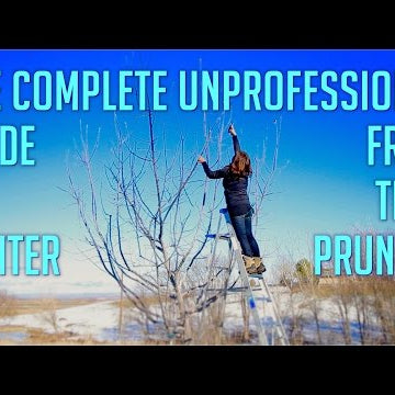 The Complete Unprofessional Guide to Winter Fruit Tree Pruning