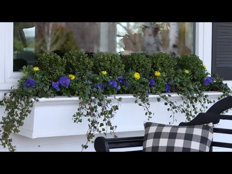 Planting More Spring Color!!!