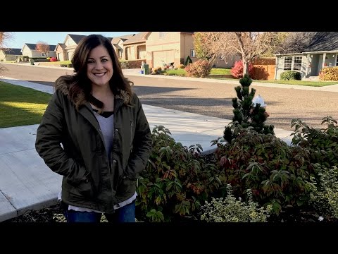 Updates | Downtown Pots + Mini Makeover