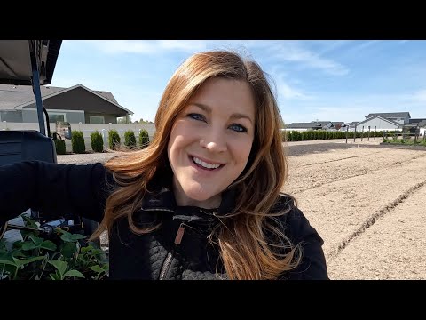 Planting 5 Varieties of Strawberry Plants!