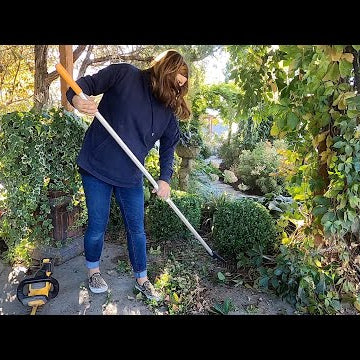 Barn & Root Cellar Update + Boxwood Trimming!