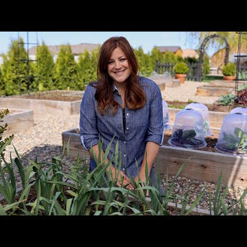 Raised Beds Guide for Beginners!